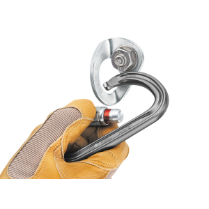 Coeur Bolt Stainless 12 mm PETZL
