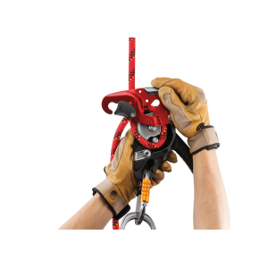 ID L Descender PETZL