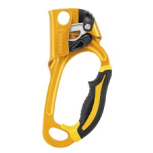 Ascension Ascender Right PETZL